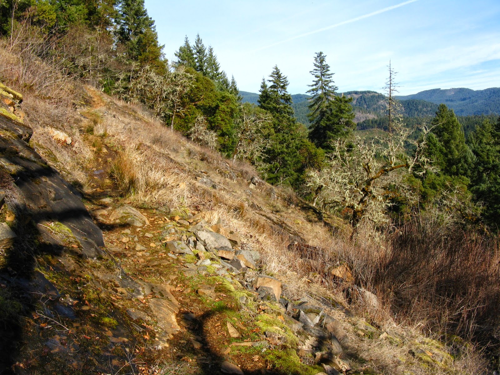 Lane's Trails and Travels: North Umpqua Trail: Susan Creek to Bob Butte