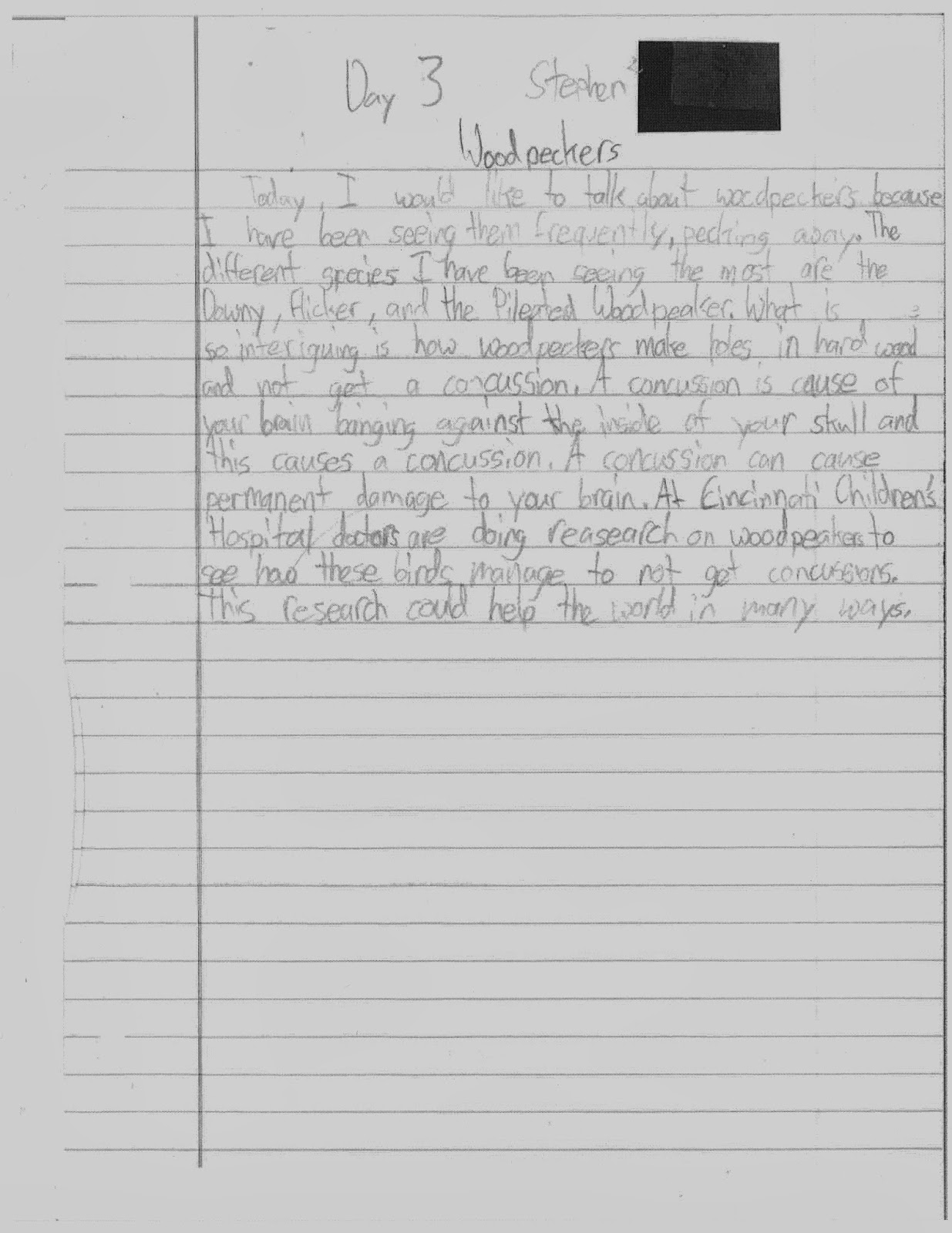 Literacy mrs fleming essay 03 picture