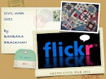 GRUPO FLICKR     CIVIL WAR 2011