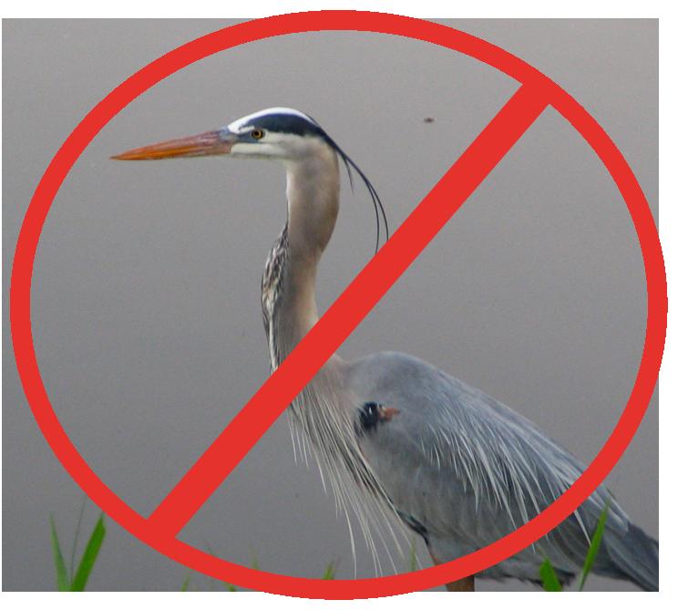 how to get cash advance from chase credit card