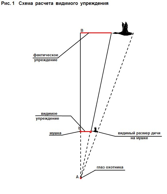 упреждение при стрельбе на гуся. схема упреждения при стрельбе по утке. что такое упреждение в артиллерии. как стрелять утку в лет. упреждение при стрельбе.