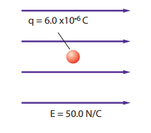 حل أسئلة تقويم الفصل السادس المجالات الكهربائية العلم نور