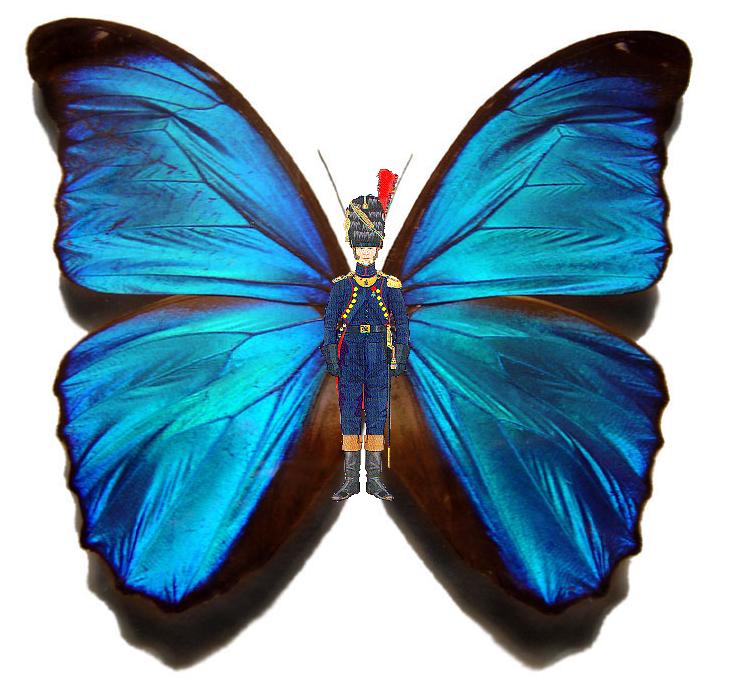 Grappling and BJJ tips by Liam The PartTime Grappler Wandi BJJ