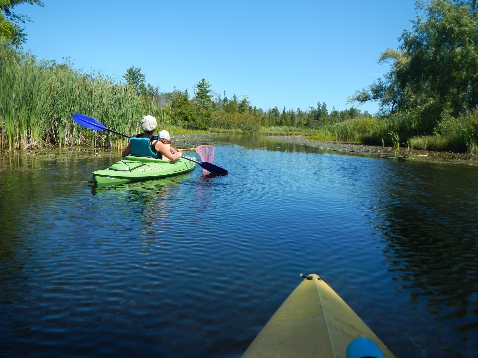Oh To Be Hiking! Victoria / Cedar Creek (Michigan) Kayaking