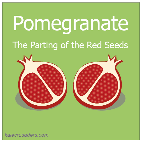 Pomegranate+Seeds.png