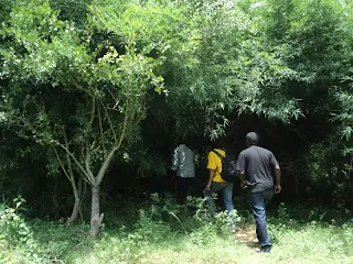 Hikers carefully entering a canopy at the Pearl valley near Bannerghatta