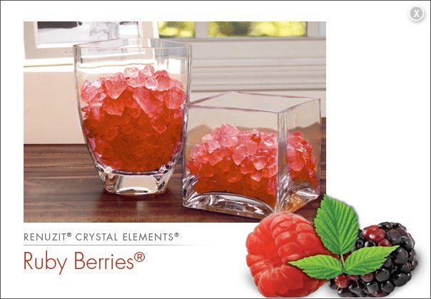 extreme-couponing-mommy-free-9oz-or-18oz-renuzit-crystal-elements-air