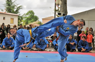 Technique de ciseau vovinam viet vo dao Auterive Toulouse