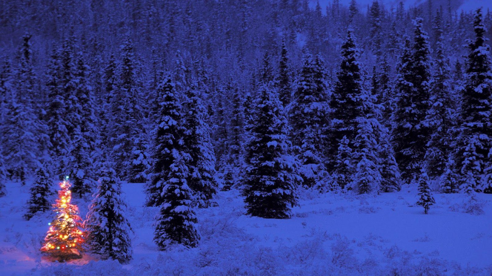 meilleur fond ecran noel gratuit fond ecran pc christmas scene screensavers