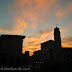 Pisa Town (Florence (Firenze) - Italy)