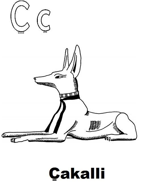 Abetare Shqip Online Page 4 Of 36 Shqipopedia