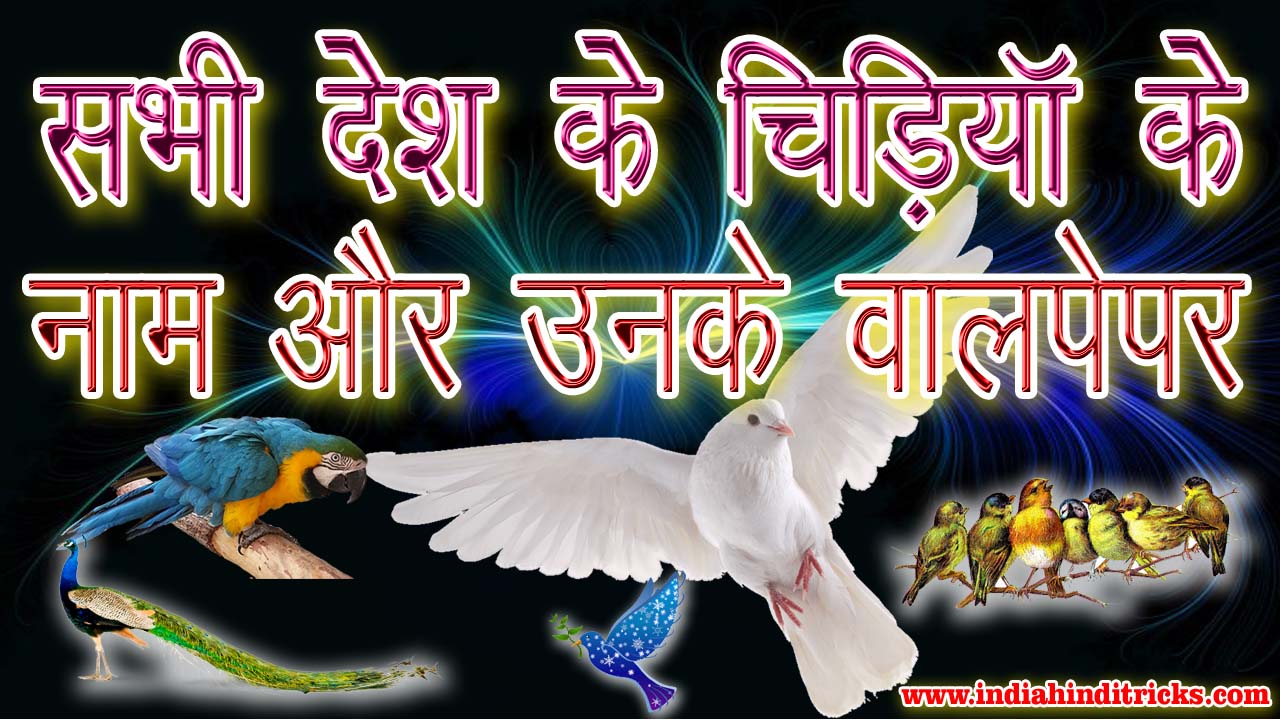a to z bird name list and wallpaper à¤¦ à¤¨ à¤¯ à¤ à¤¸à¤­ à¤ à¤¡ à¤¯ à¤ à¤¨ à¤® à¤ à¤² à¤¸ à¤ à¤à¤° à¤à¤¨à¤ à¤« à¤ a to z bird name list and wallpaper à¤¦ à¤¨ à¤¯ à¤ à¤¸à¤­ à¤ à¤¡ à¤¯ à¤ à¤¨ à¤® à¤ à¤² à¤¸ à¤ à¤à¤° à¤à¤¨à¤ à¤« à¤