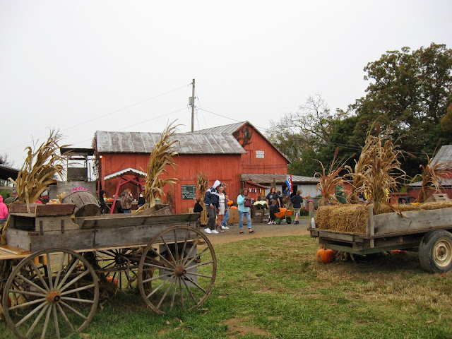 pumpkin picking at Hill High Farm in Winchester VA, Fall family fun in Northern Virginia,