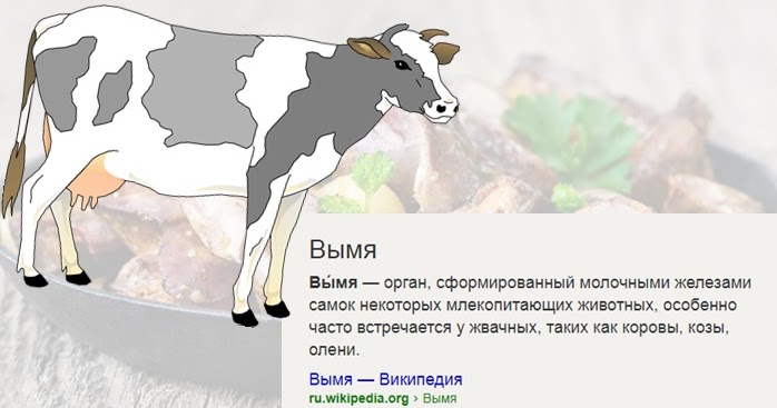 Вымя