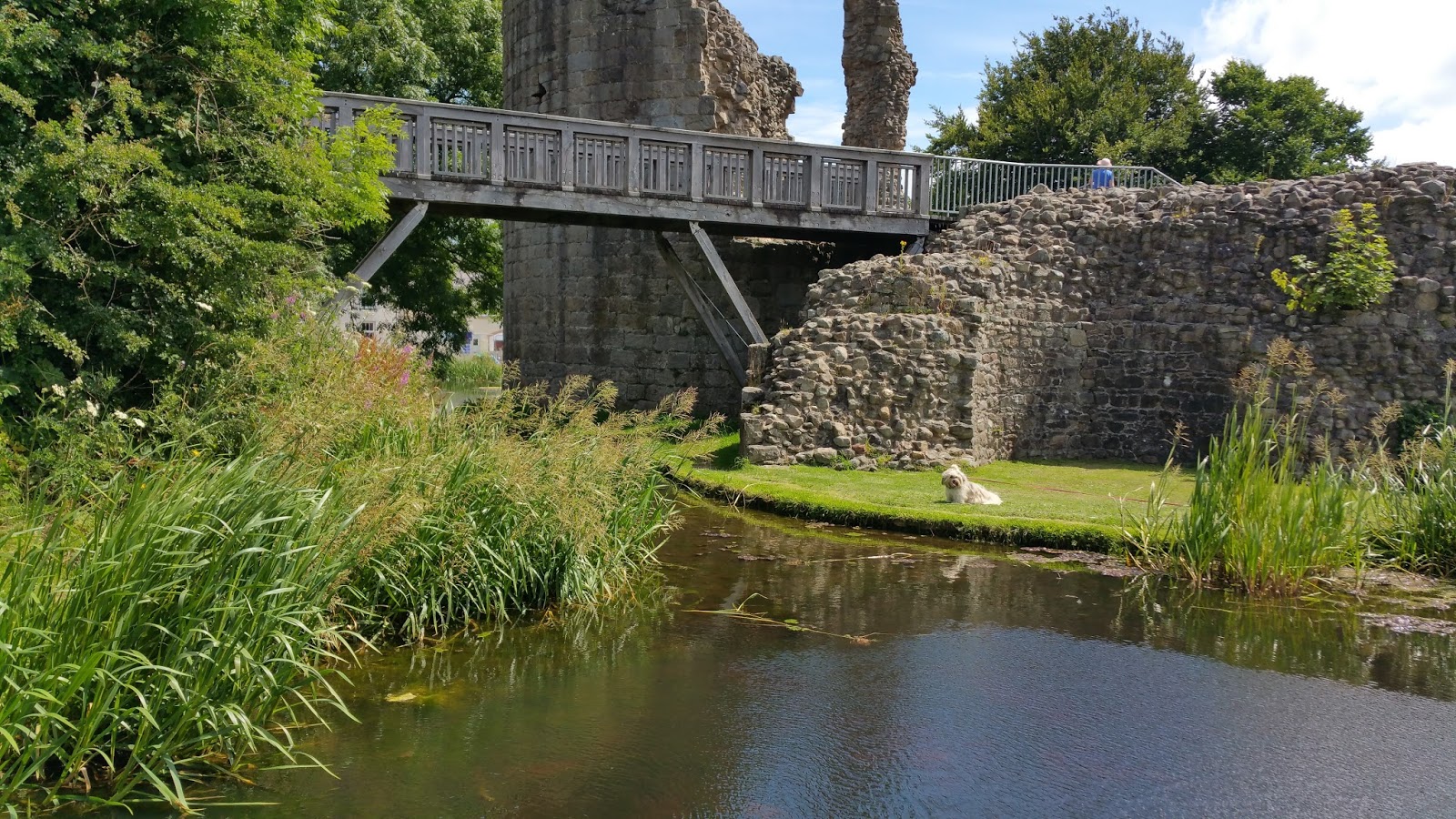 Dog Friendly Places To Eat Oswestry Dog Friendly Places To Eat Oswestry