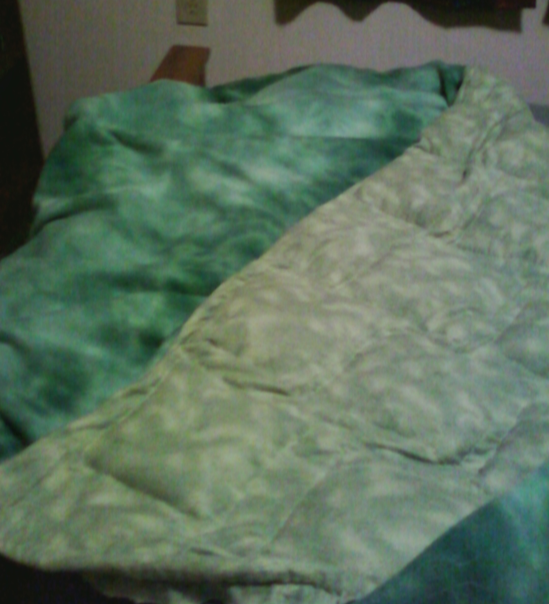 Story of My Service Dog: My New Blankie (Weighted Blanket)