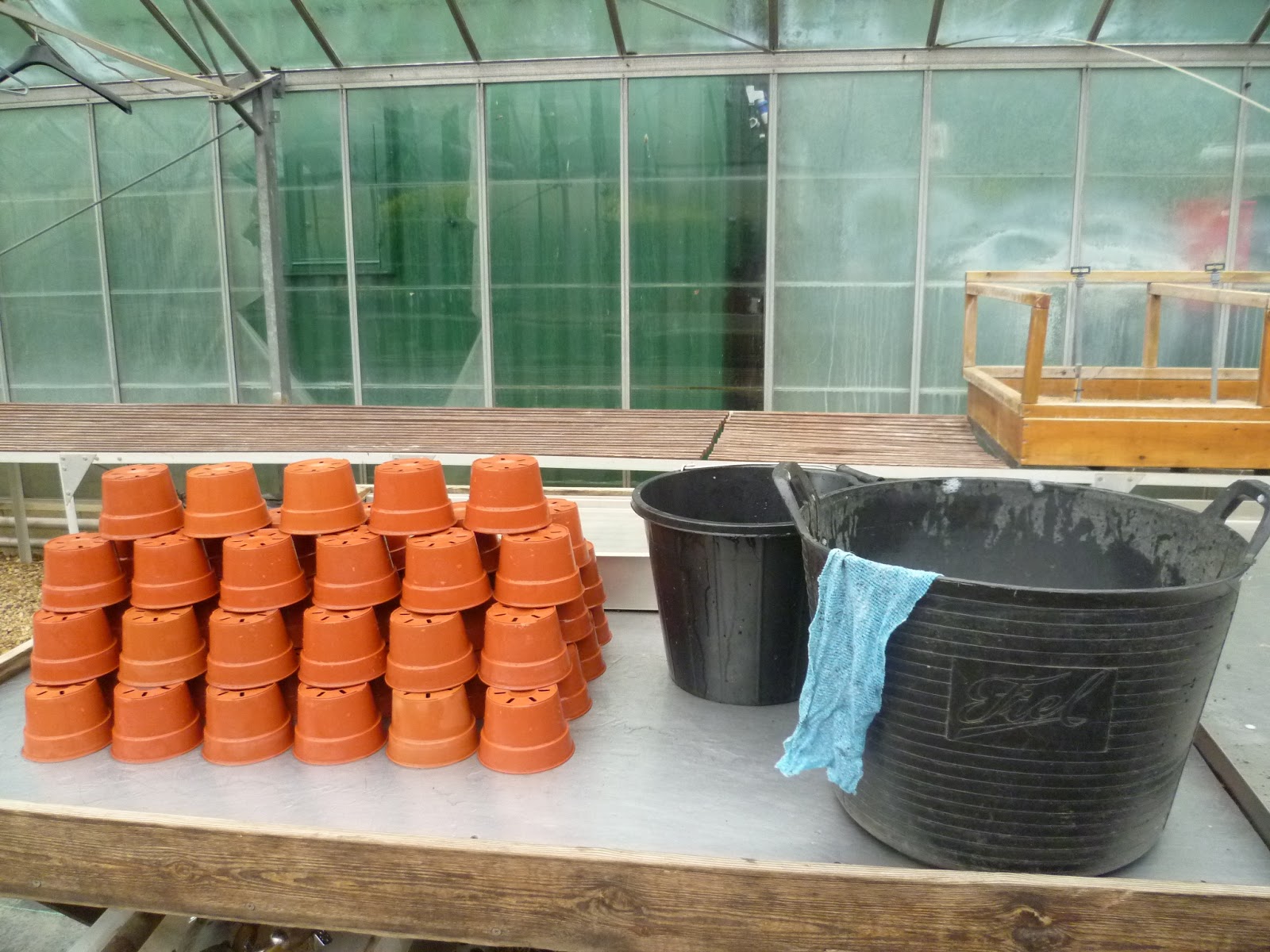 Worcester College Gardeners 20092018 Pricking Out And Pot Washing