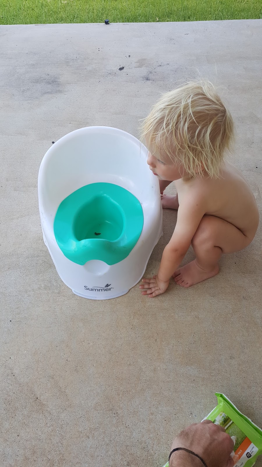 The Daily Davis Potty Training