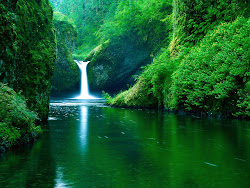 wallpapers nature background river natural desktop animated jungle computer fine fall digital south screen heaven scenery perfect nice