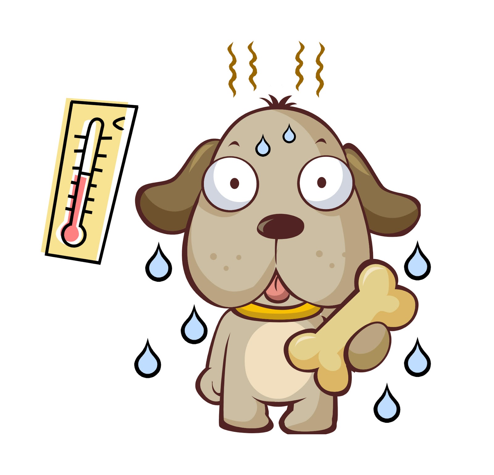 Arden House Vets Feeling the heat!