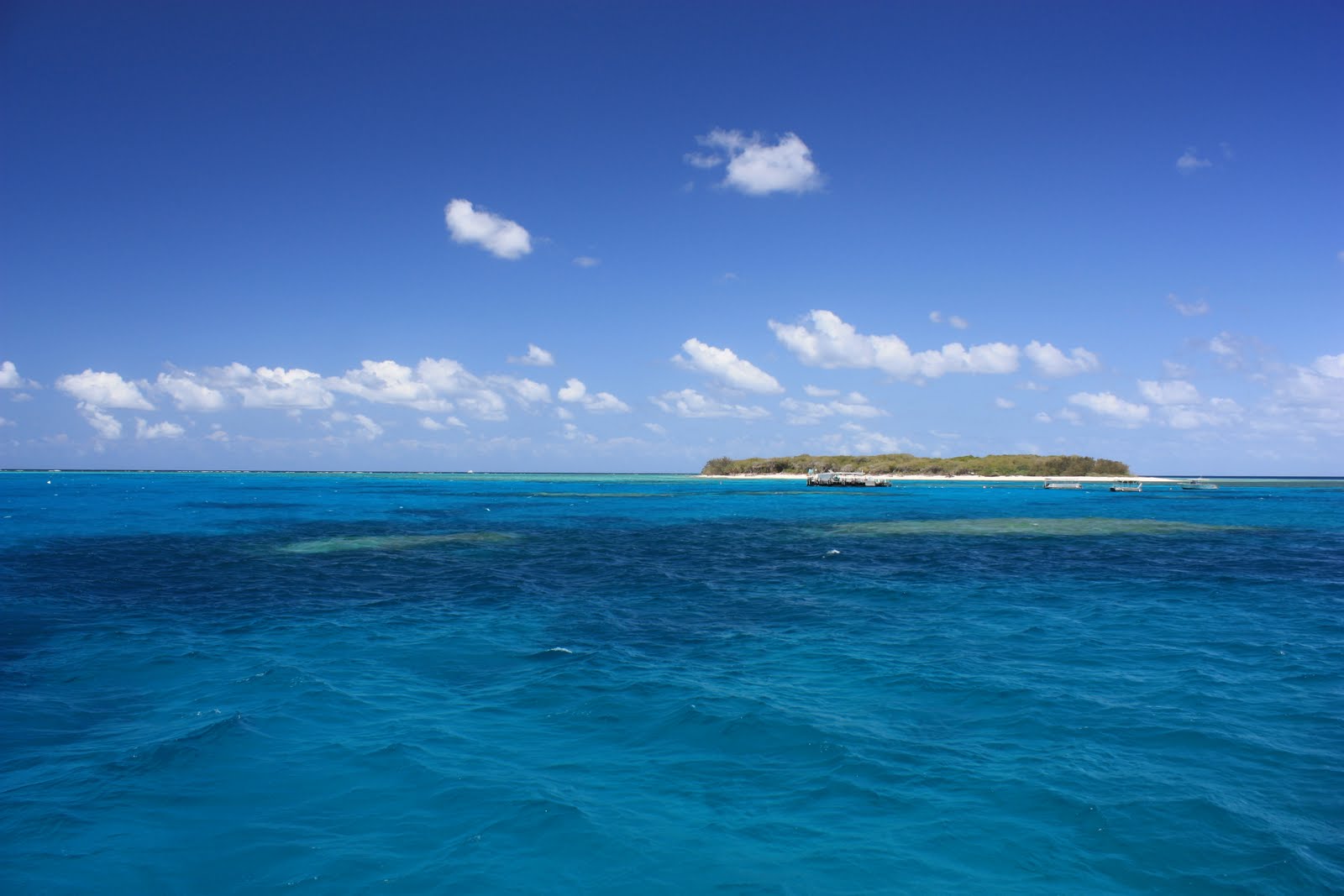 Top 10 Best Beaches Lady Musgrave Island Great Barrier Reef, Australia