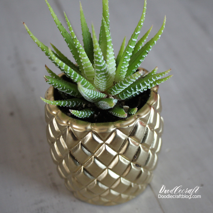 Doodlecraft Pineapple Succulent Planter!