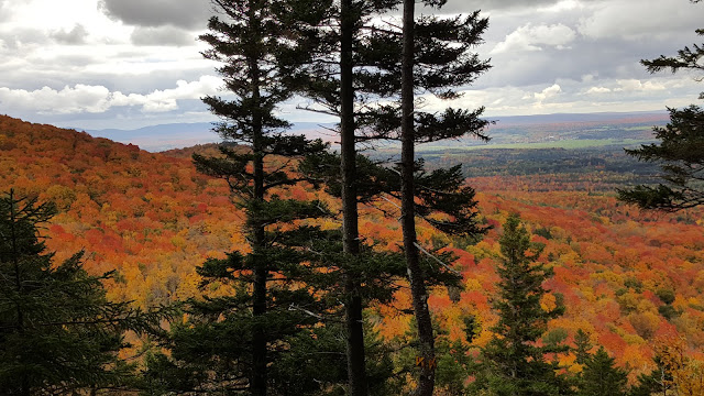 Point de vue à partir du 'Cohoes'