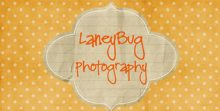 LaneyBug Photography