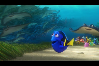 Finding Dory Movie Image 7