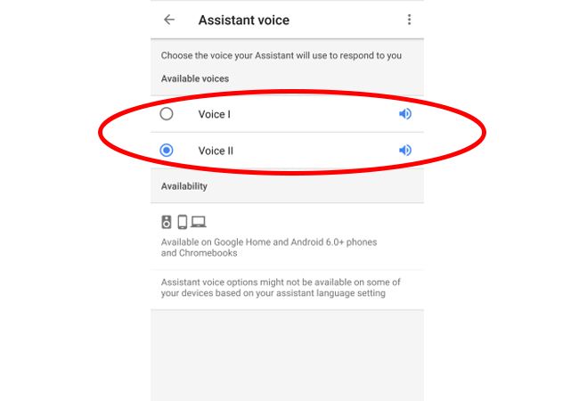 Choose voice. Google voice number. Google voice number. Windows 10 narrator icon. Google voice search ватсап.