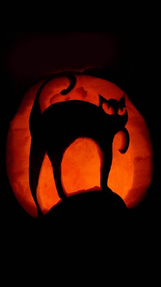 Black Cat Halloween Pumpkin Art  Galaxy Note HD Wallpaper