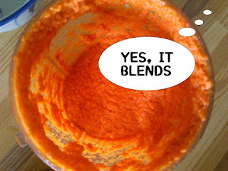 Will it Blend Chilli paste