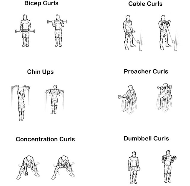 Workout for Dummies What's Up Doc?