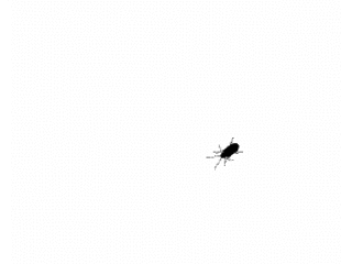 gifs_-_screensavers_320x240_no+(1).gif