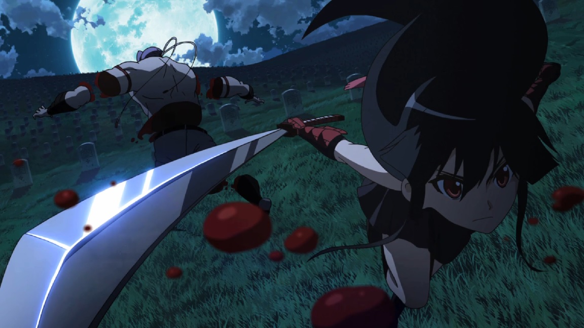 تقرير عن انمي !Akame ga Kill