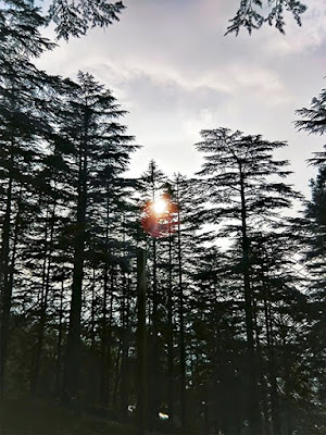 ALMORA // BLACK AND WHITE | STYLE PANORAMA BY DHEERA JOSHI sunset in almora,almora travel blog,stylepanorama,mountains