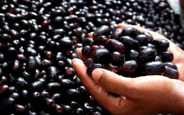 Black-blackberries-Health-Benefits Black-blackberries-Health-Benefits