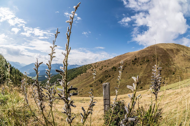 Panorama Mountainbike Tour Kleingitsch Brixen 