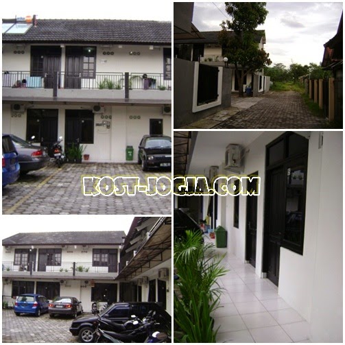 kost campur jogja terbaru