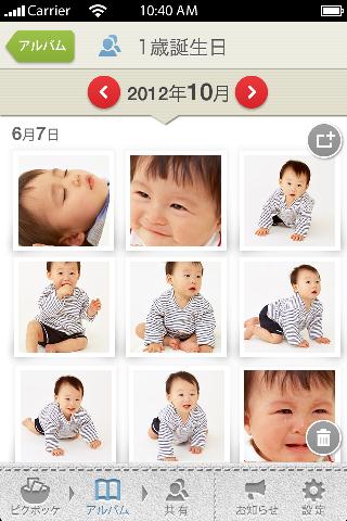 アイリッシュ・ウルフハウンド – 家族としての特質が限られた穏やかな巨人