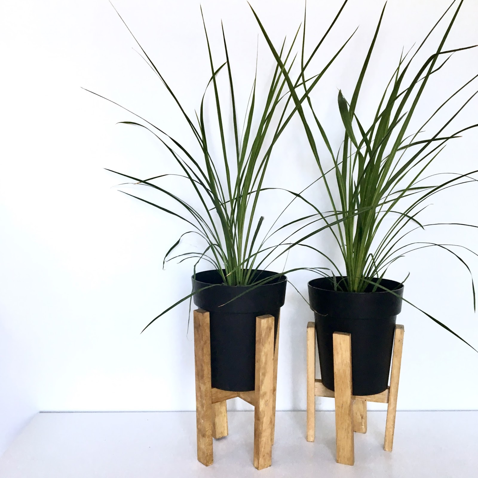 DIY Wooden Plant Stand