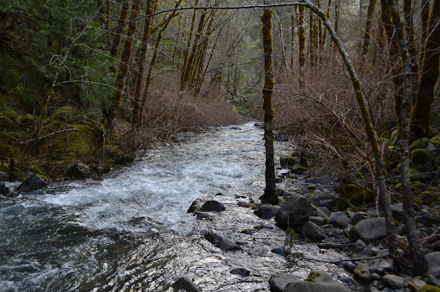 rushing water