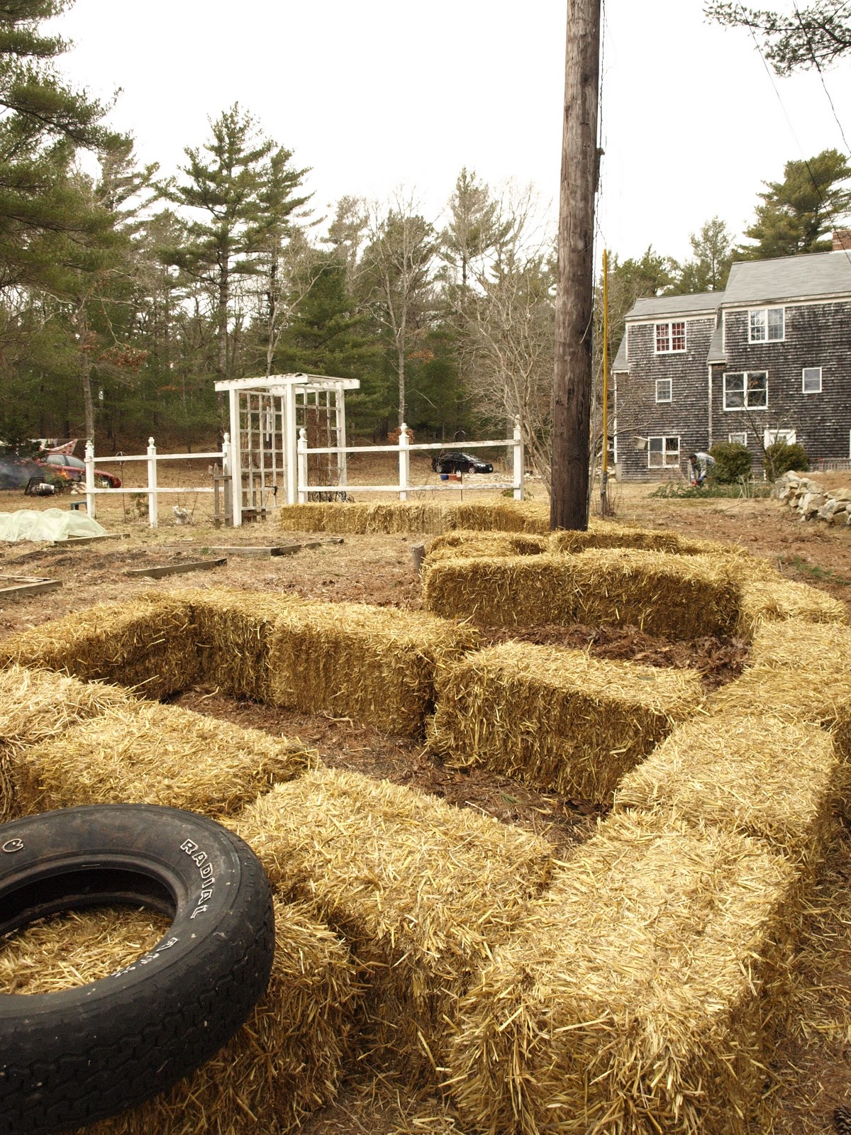 Hanley's Hedge: Straw bale garden