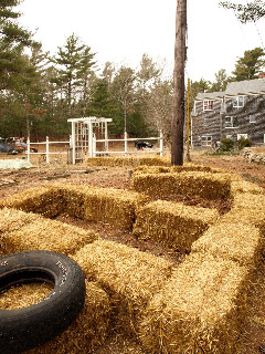 Hanley's Hedge: Straw bale garden