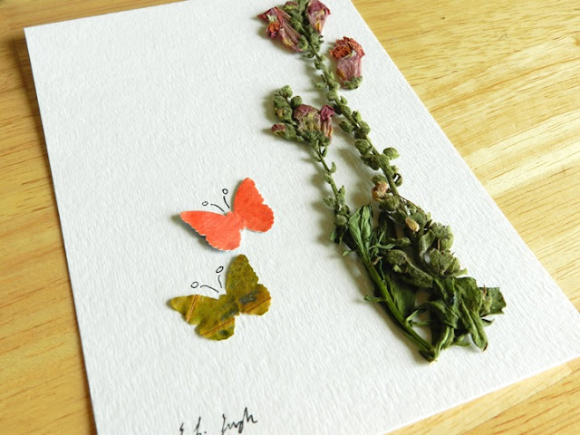 dried flower and leaf art