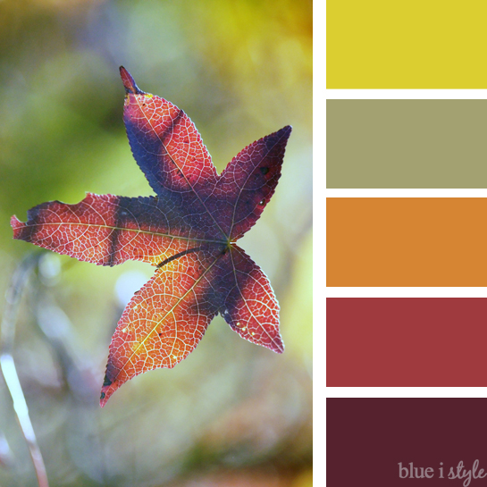 create organized color palette from image