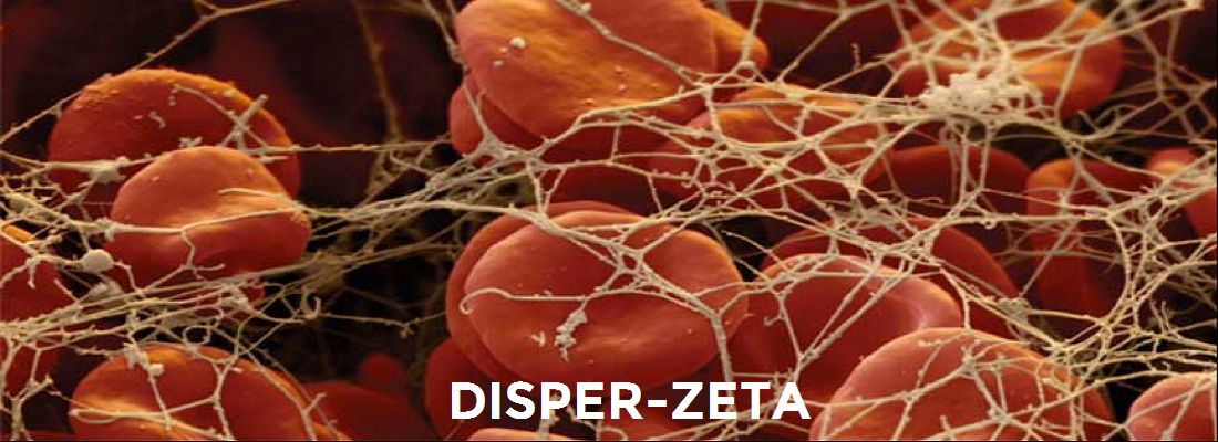 LA SALUD Y LA VITALIDAD DE LOS SERES VIVOS DEPENDEN DEL POTENCIAL ZETA potencial zeta