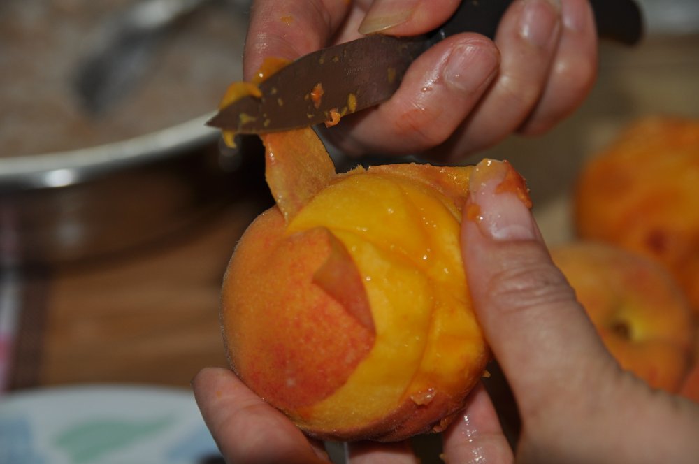 Calico Kitchen =^.^=: Peach Pie