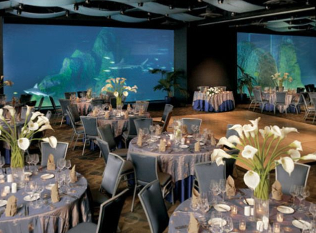 Adventure Aquarium Camden NJ Wedding Venues Adventure Aquarium Camden NJ Wedding Venues