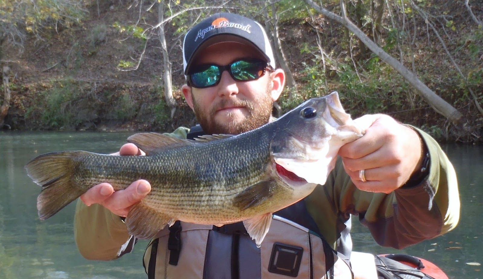 The Plight of the Guadalupe Bass